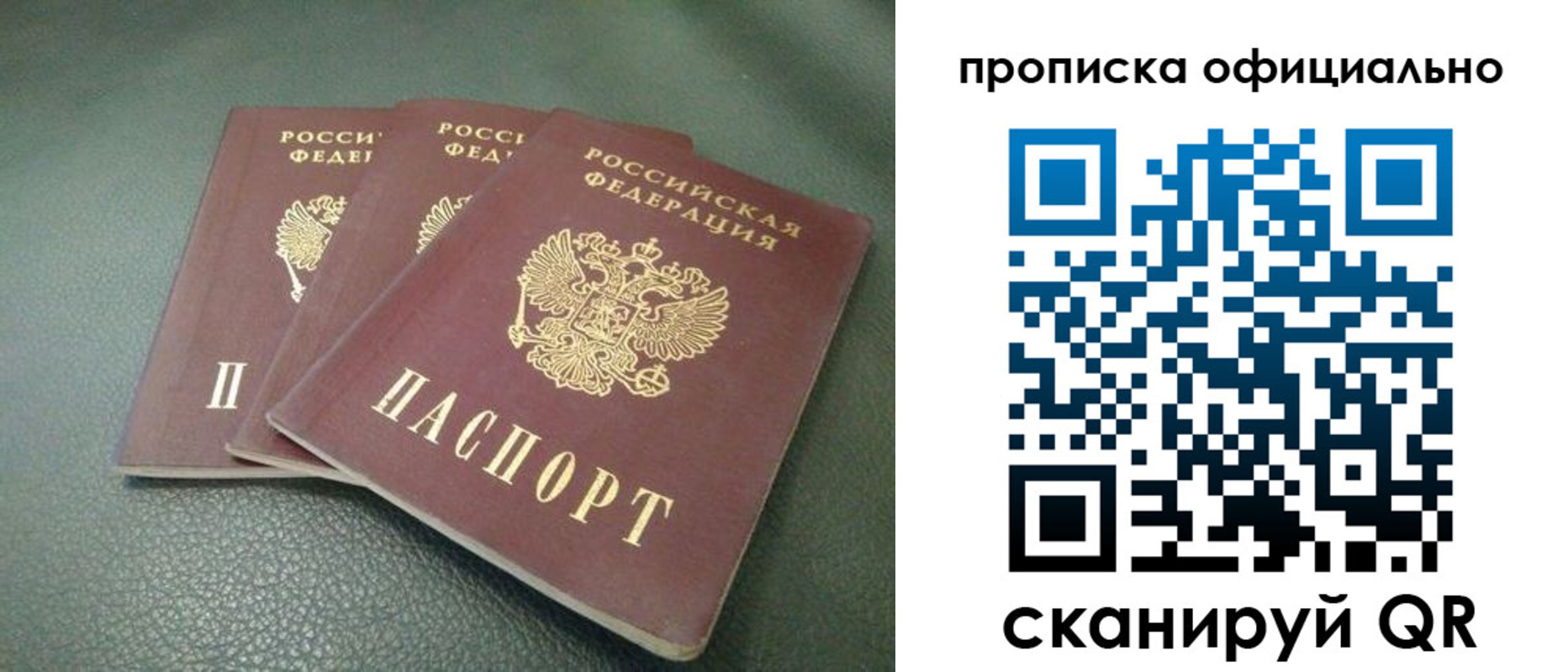 прописка для школы в Электрогорске