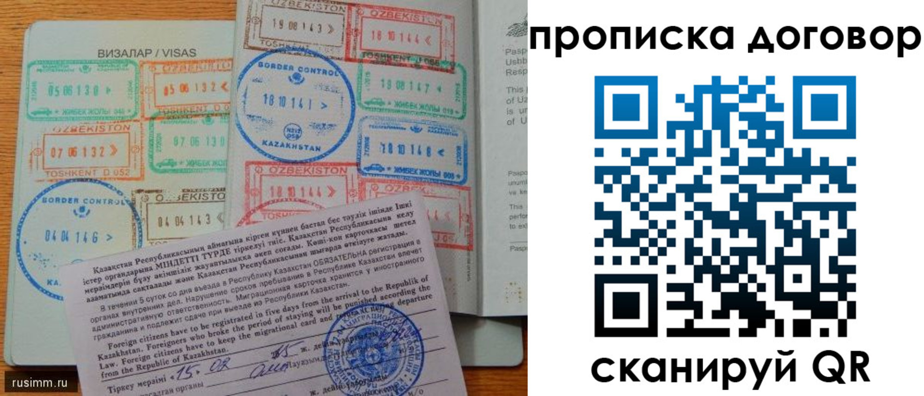 прописка в Электрогорске